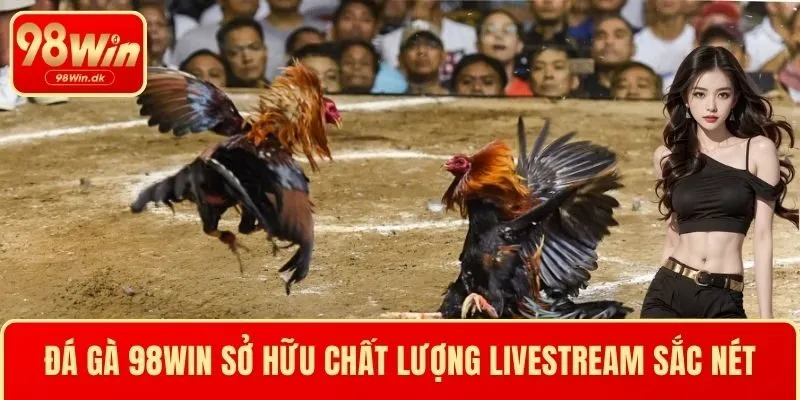 Đá gà 98WIN sở hữu chất lượng livestream sắc nét