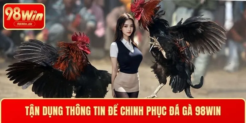 Tận dụng thông tin để chinh phục Đá gà 98WIN