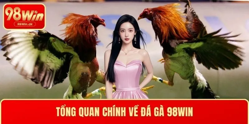 Tổng quan chính về Đá gà 98WIN