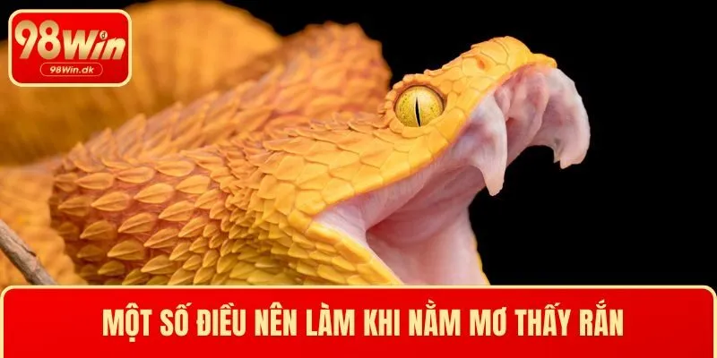 Một số điều nên làm khi nằm mơ thấy rắn